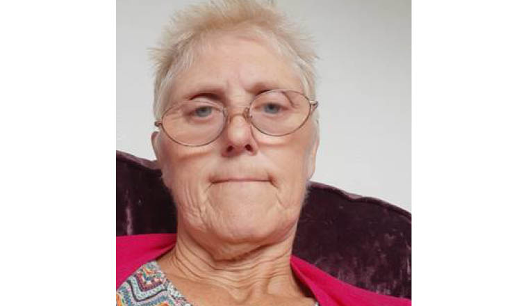 朱莉·布朗的故事