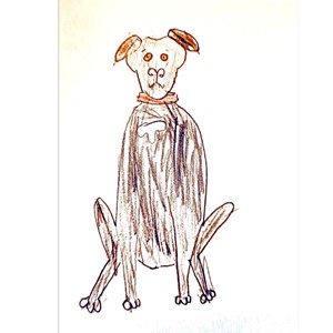 只是一只狗：当我的宠物死亡时，我如何感受到