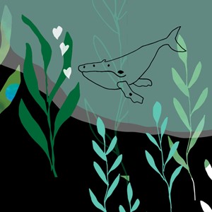 艾拉里斯布里奇人最喜欢的悲伤诗歌