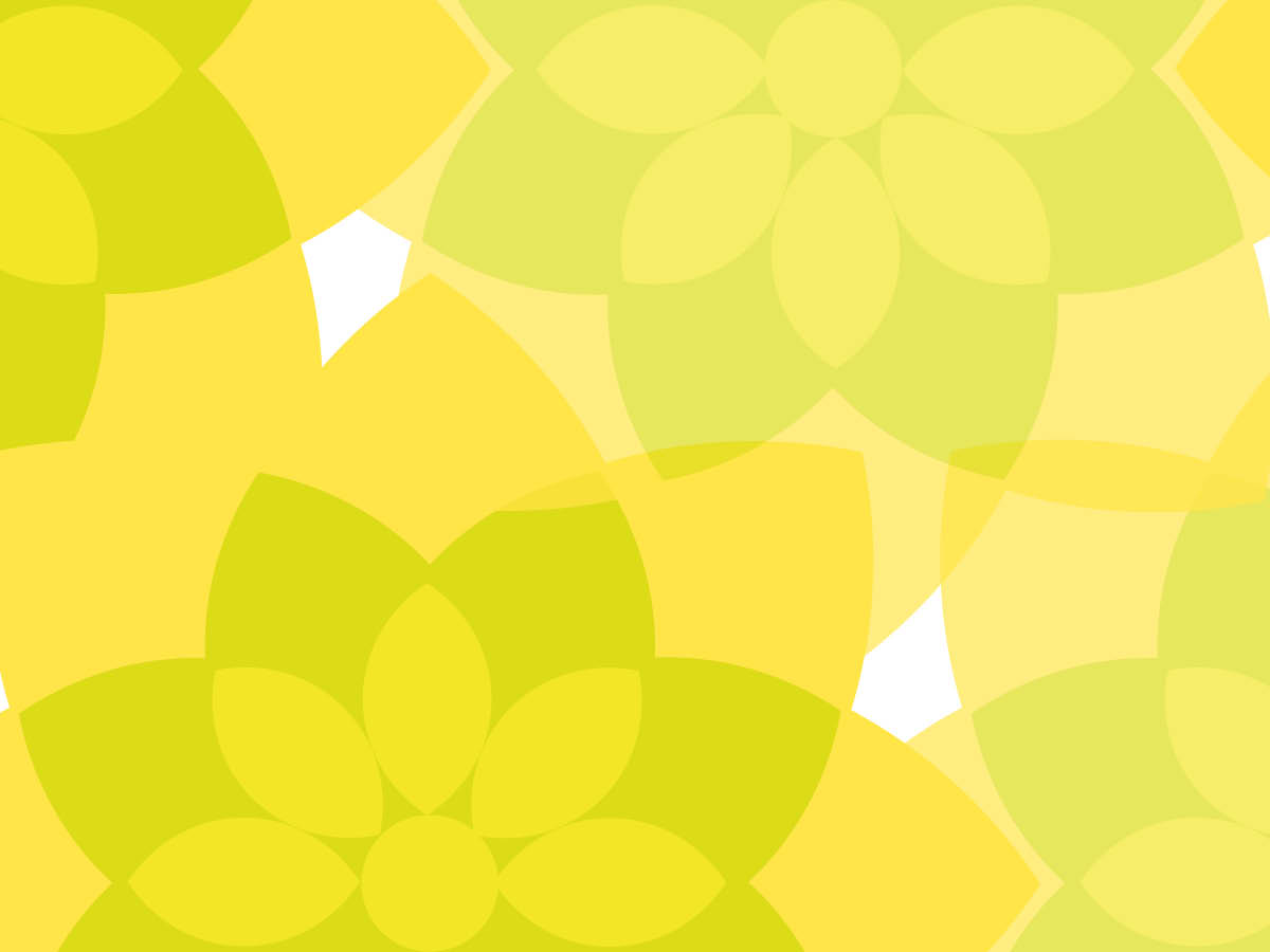 在黄水仙的女孩文字