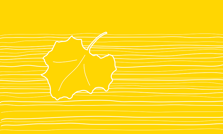 在一个人生命的尽头会有什么期待呢