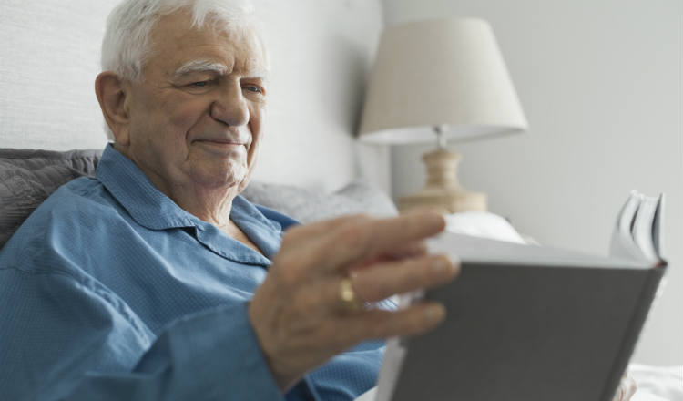 计划、报告和政策